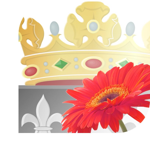 bloemen bezorgen Aagtekerke