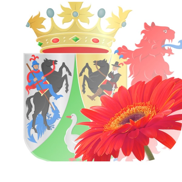 Bloemen bezorgen Berkhout