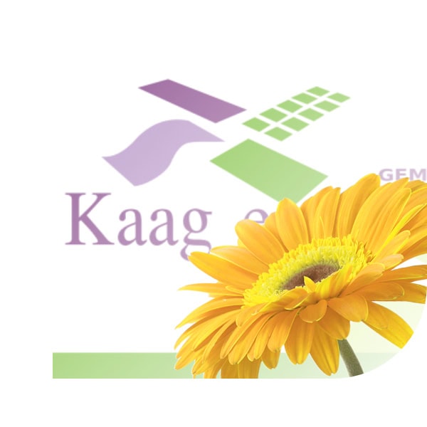 Bloemen bezorgen Buitenkaag