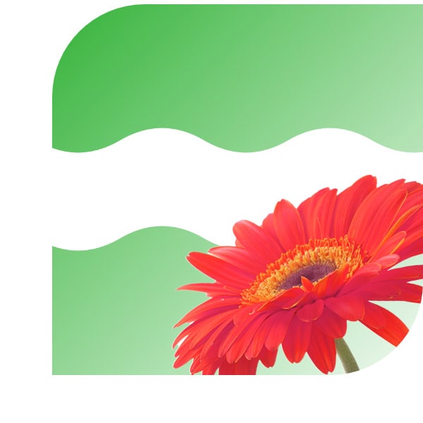 Bloemen bezorgen Bunnik