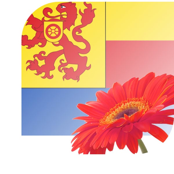 Bloemen bezorgen Burgh-Haamstede