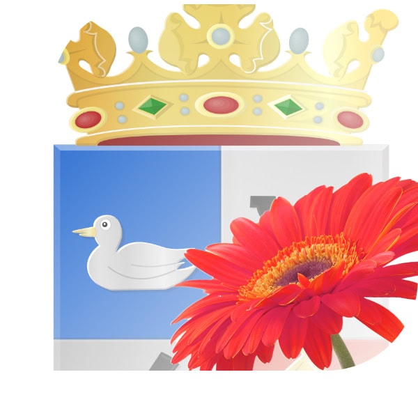 bloemen bezorgen Driebruggen