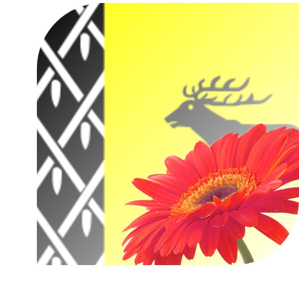 Bloemen bezorgen Elspeet