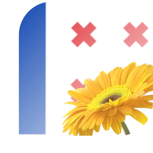Bloemen bezorgen Geervliet
