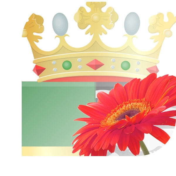 Bloemen Bezorgen Kerkwerve
