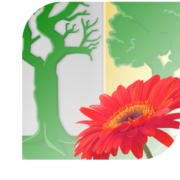 Bloemen Bezorgen Luinjeberd
