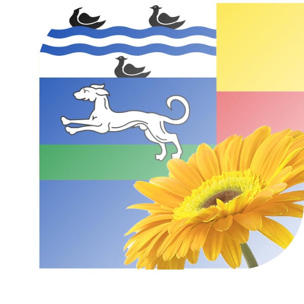 Bloemen Bezorgen Noordgouwe