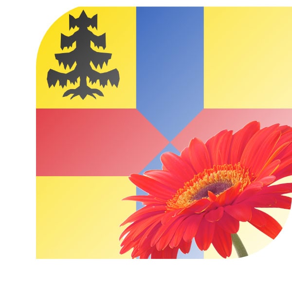 Bloemen Bezorgen Roden