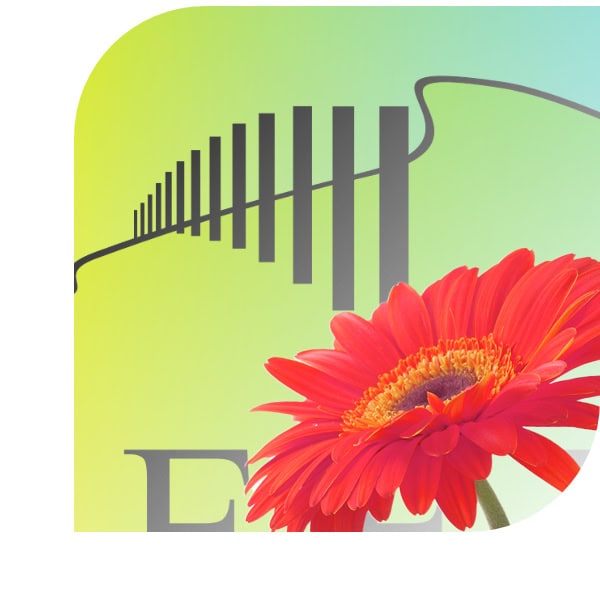 Bloemen bezorgen Veere