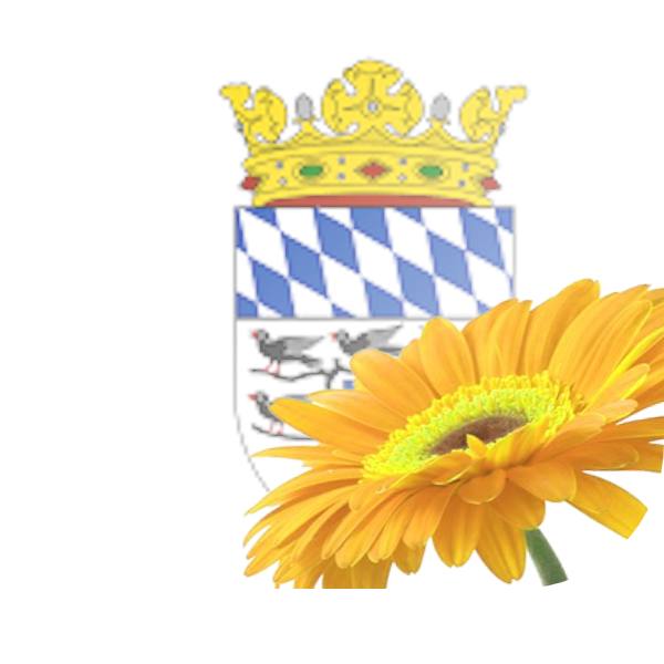 Bloemen bezorgen Venhuizen