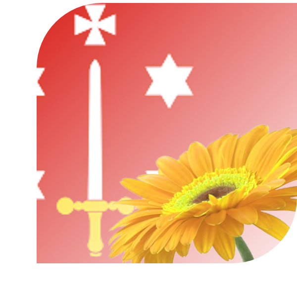 Bloemen bezorgen Haarlem