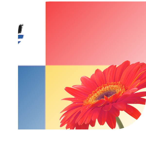 Bloemen bezorgen Almere