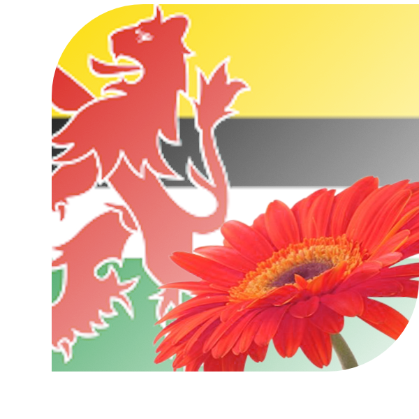 Bloemen bezorgen Geertruidenberg