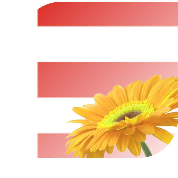Bloemen bezorgen Eindhoven