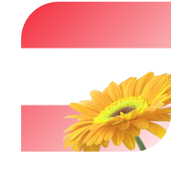 Bloemen bezorgen Dordrecht