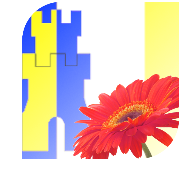 Bloemen bezorgen Westkapelle