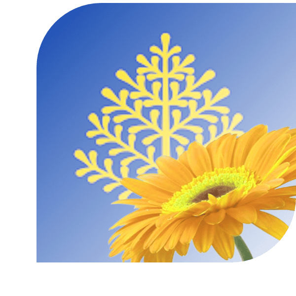 Bloemen bezorgen Rijssen