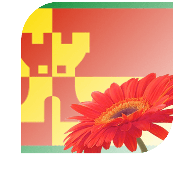 Bloemen bezorgen Rinsumageest