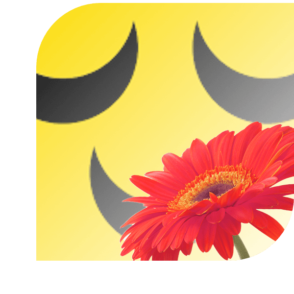 Bloemen bezorgen Voorschoten