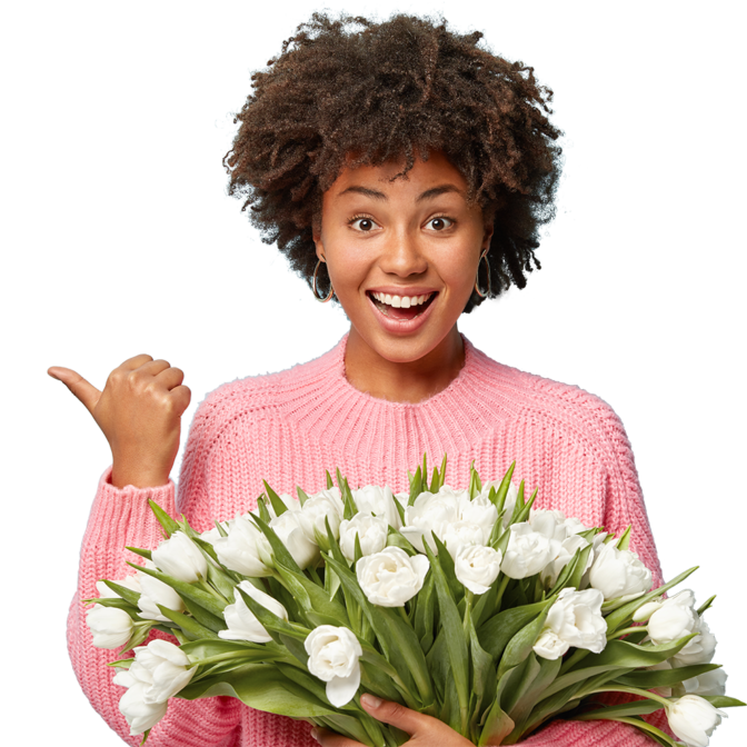 banner tulpen