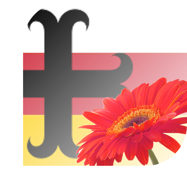 Bloemen bezorgen Asten