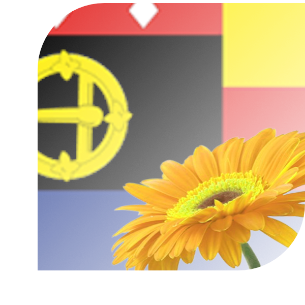 Bloemen Bezorgen Noordwelle