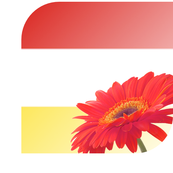 Bloemen Bezorgen Oostvoorne