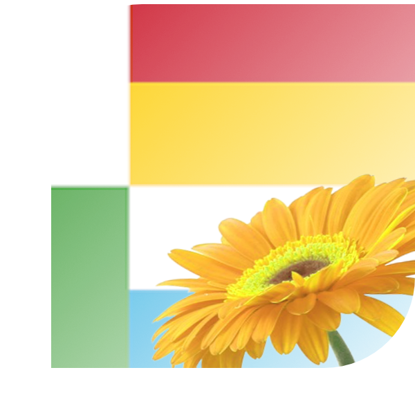 Bloemen Bezorgen Oss