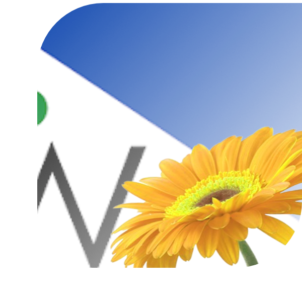 Bloemen Bezorgen Raard