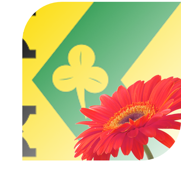 Bloemen bezorgen Ureterp