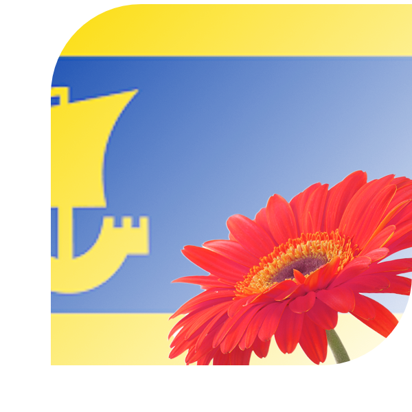 Bloemen Bezorgen Ijlst