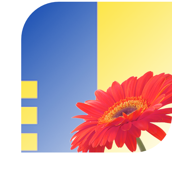 Bloemen Bezorgen Meijel