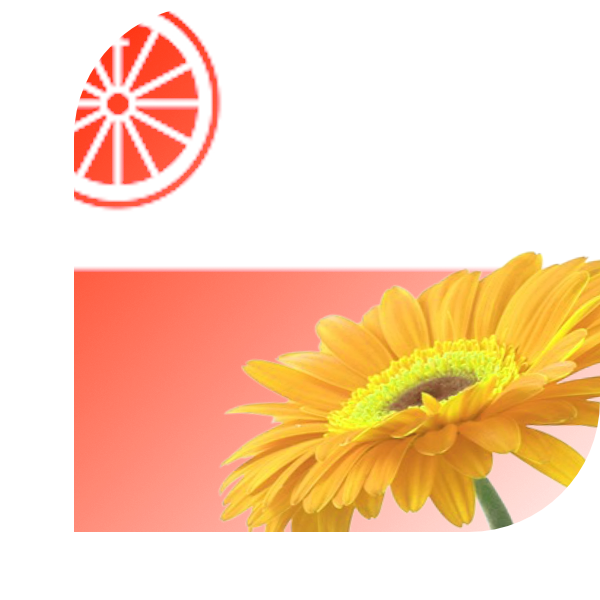 Bloemen bezorgen Wageningen