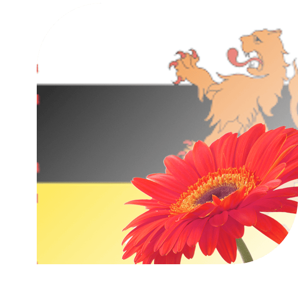 Bloemen bezorgen Someren