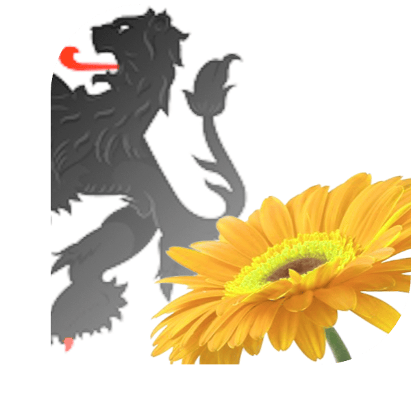 Bloemen Bezorgen Noordwijk ZH