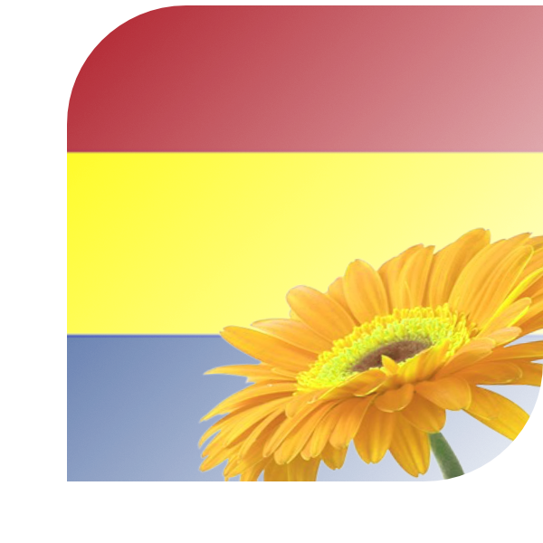 Bloemen bezorgen Vlaardingen