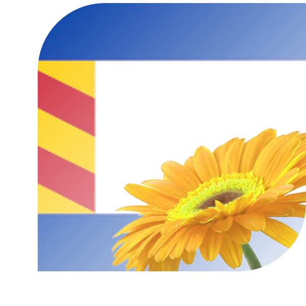 Bloemen Bezorgen Oud-Beijerland