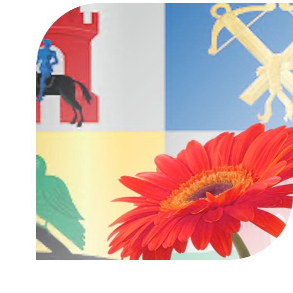 Bloemen Bezorgen Ouddorp