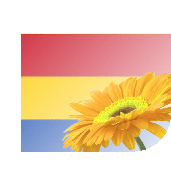 Bloemen Bezorgen Reeuwijk