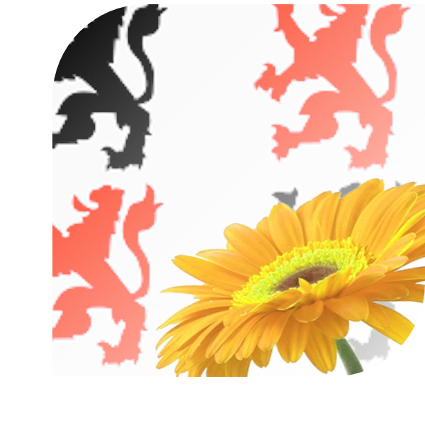Bloemen Bezorgen Schoonhoven