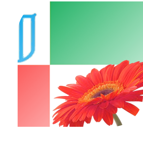 Bloemen bezorgen Ulvenhout