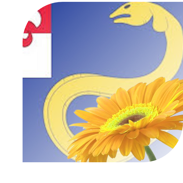 Bloemen Bezorgen Heeg