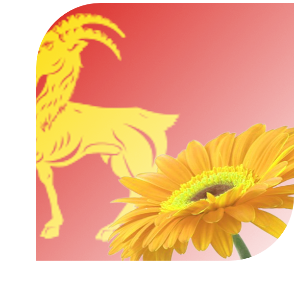 Bloemen bezorgen Boxmeer