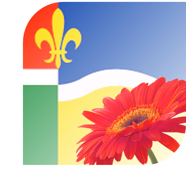 Bloemen bezorgen Wijk aan Zee