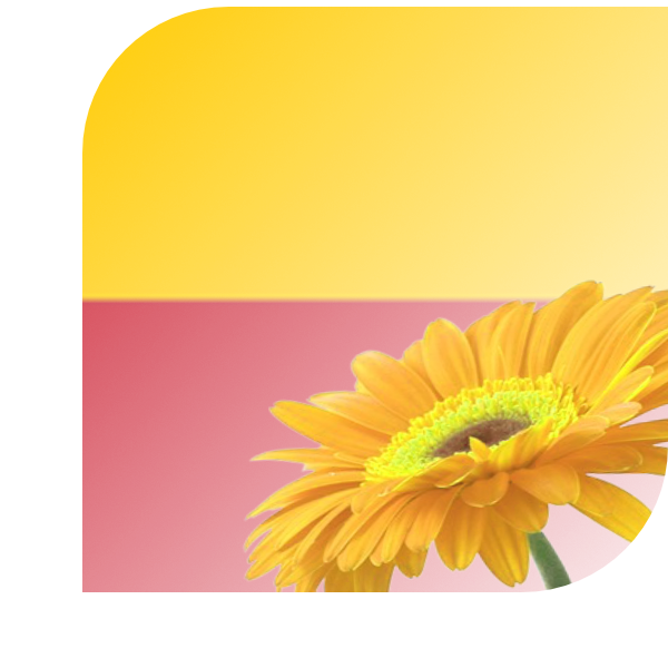 Bloemen bezorgen Culemborg