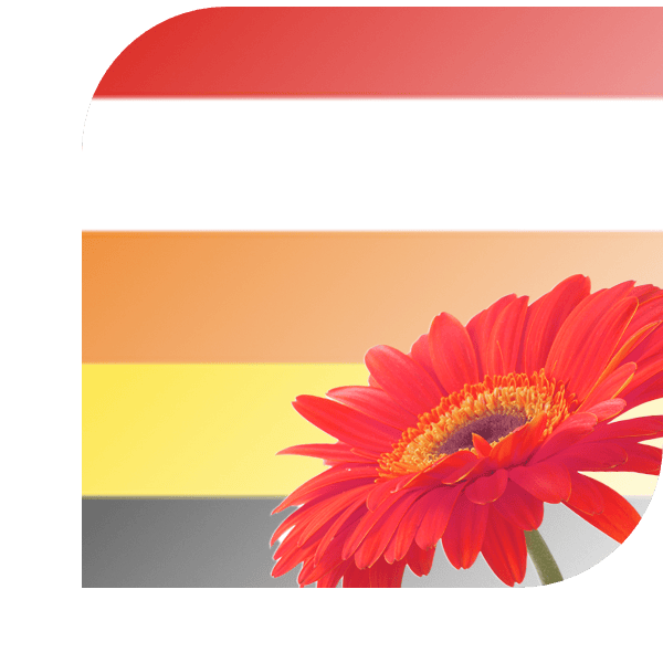 Bloemen bezorgen Benschop