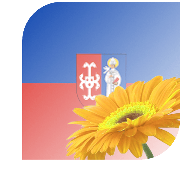 Bloemen bezorgen Brunssum