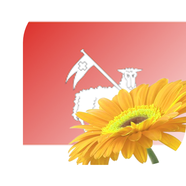 Bloemen Bezorgen Mijdrecht