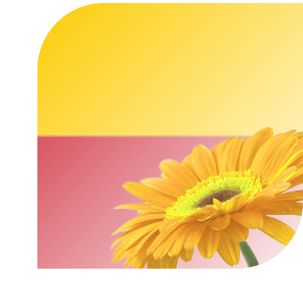 Bloemen Bezorgen Schagen