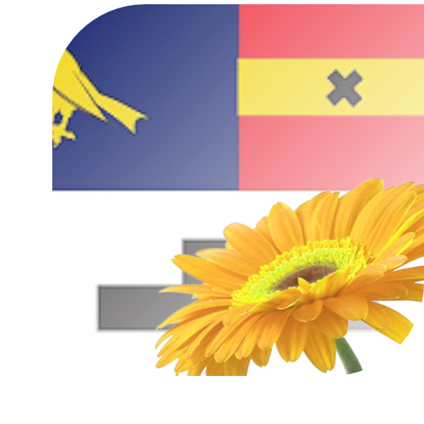 Bloemen bezorgen Vinkeveen